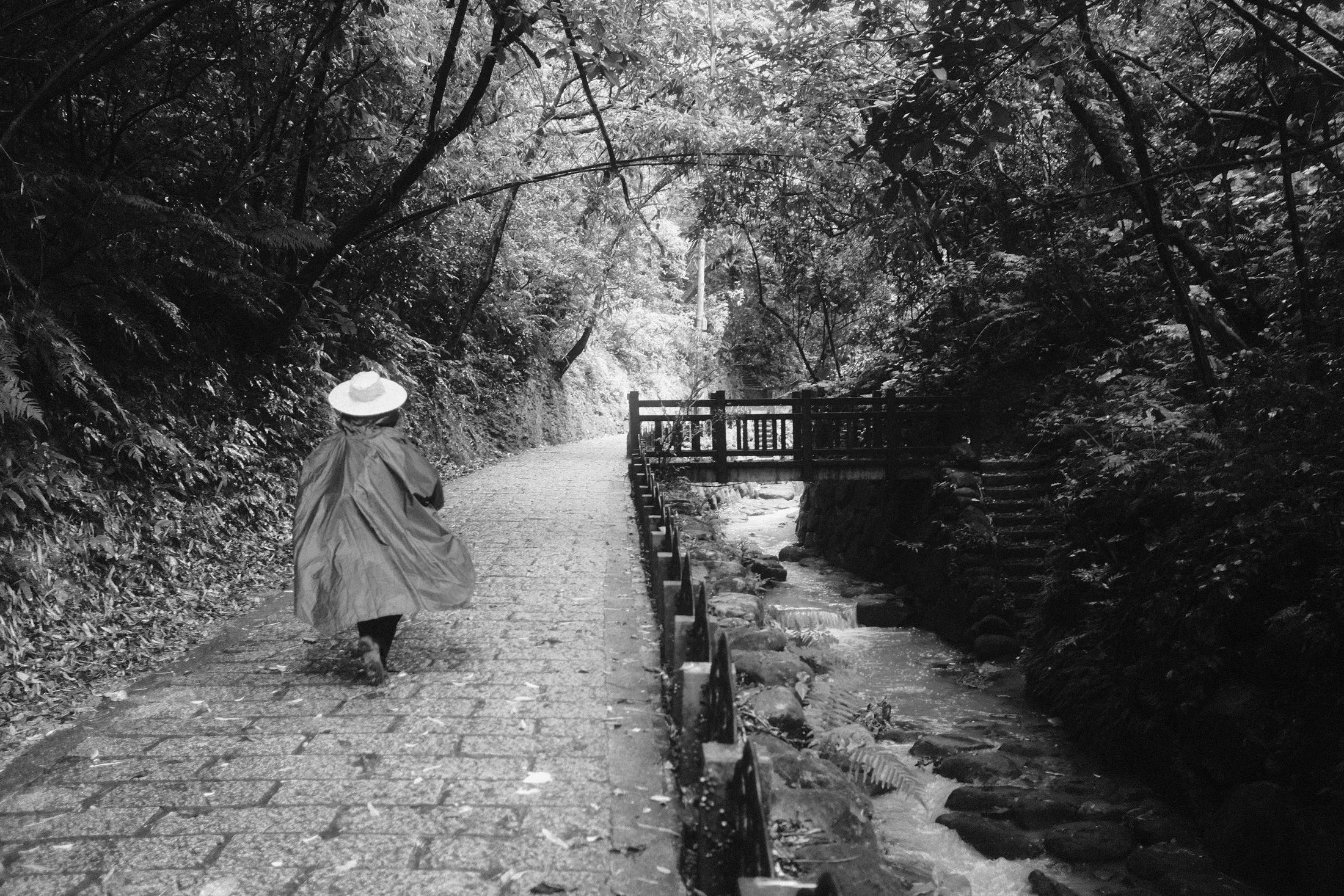 戴斗笠的旅人獨行於山中小徑，365 Project July 20