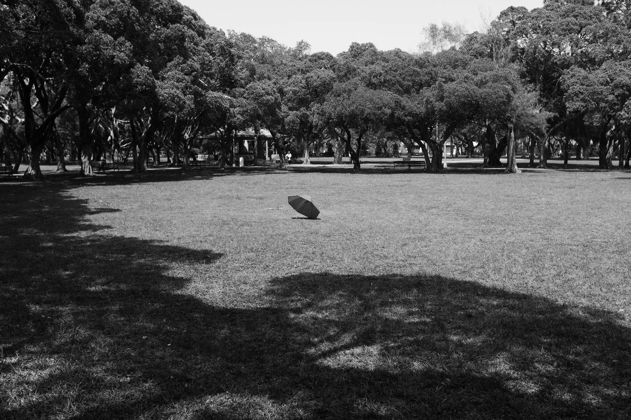 公園草地中央留著一把收起的傘，樹影與林蔭覆蓋周圍空間，365 Project September 30