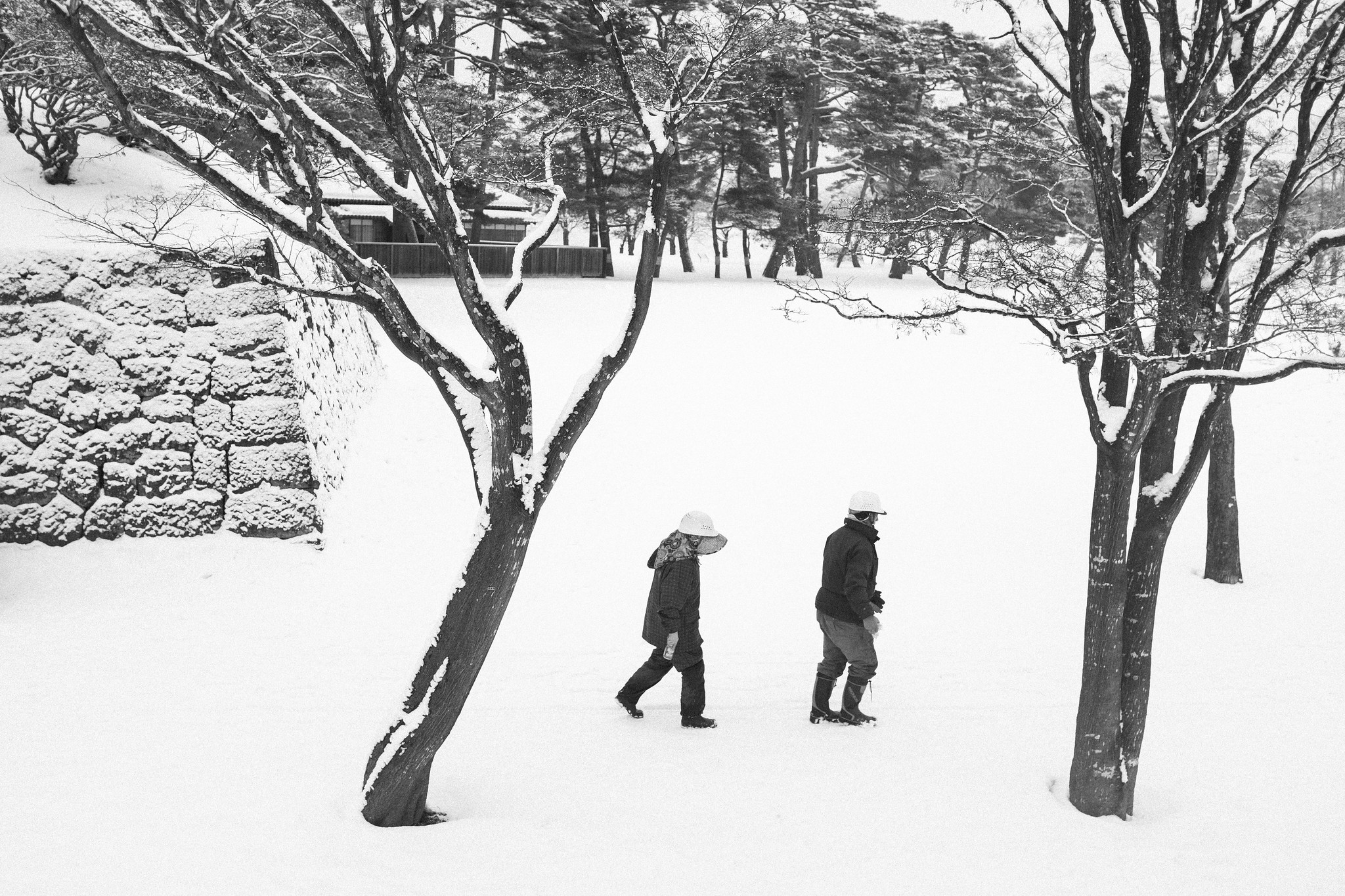 Black and white winter walkers in Japan - JAPAN project cover